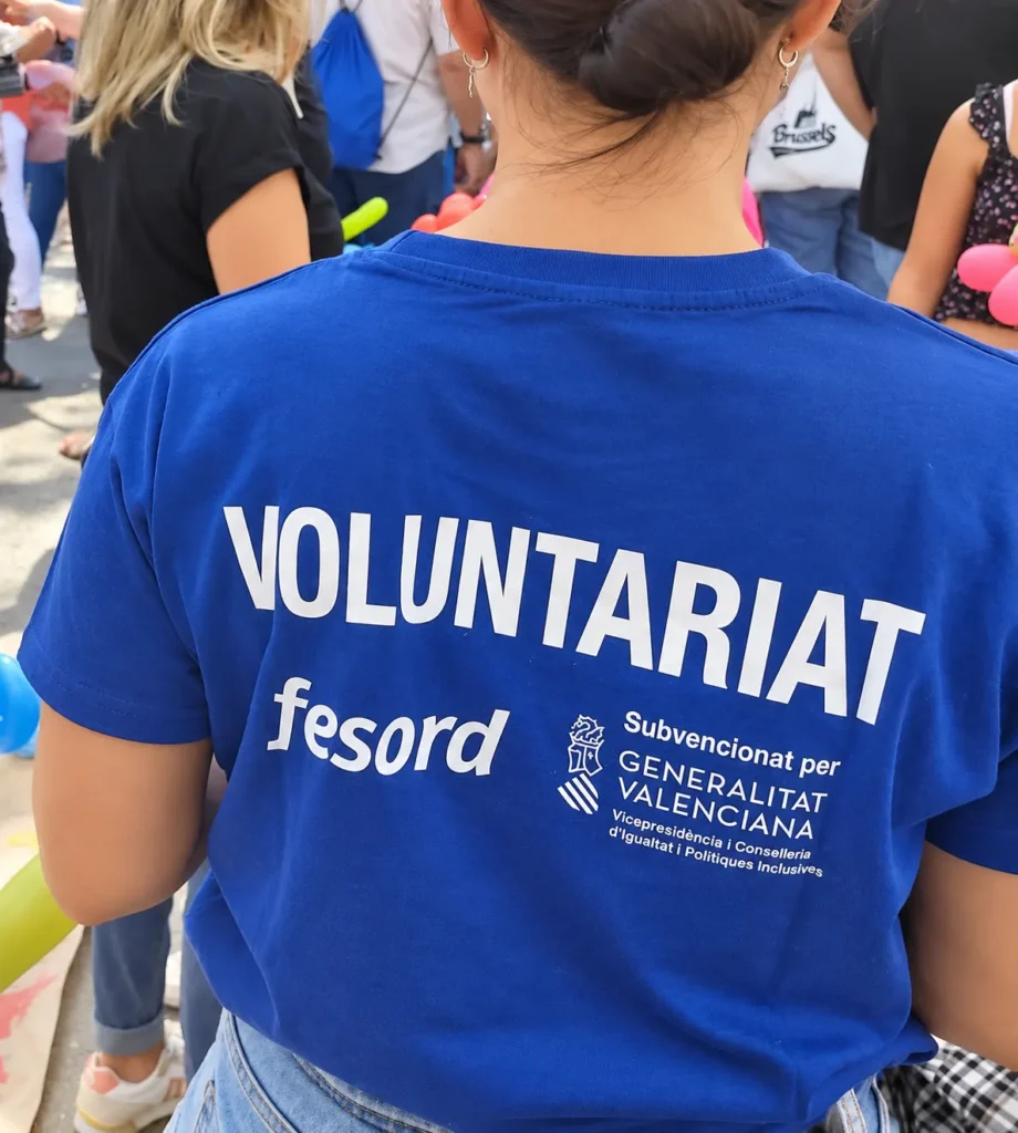 Voluntariat Fesord 2026